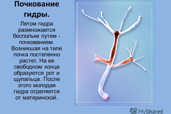 Кракен телеграмм магазин