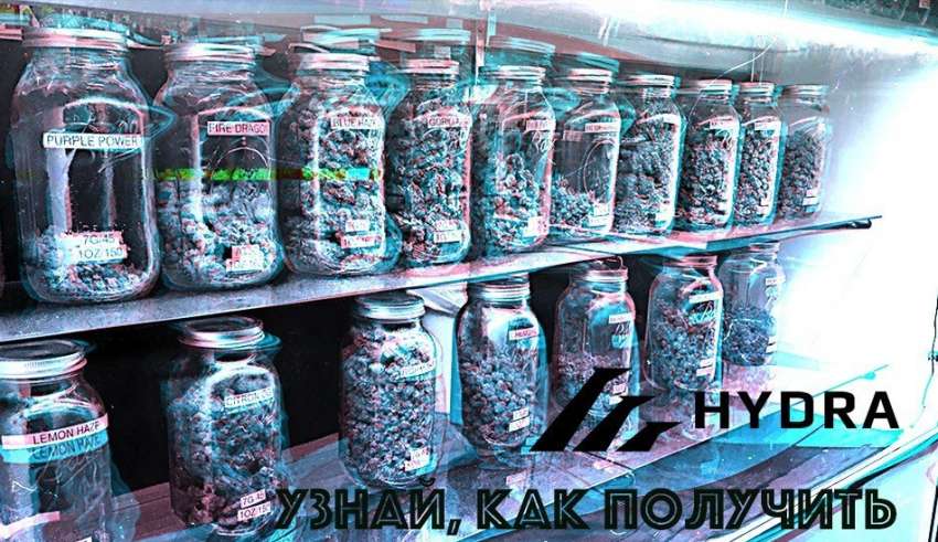 Кракен наркоторговец