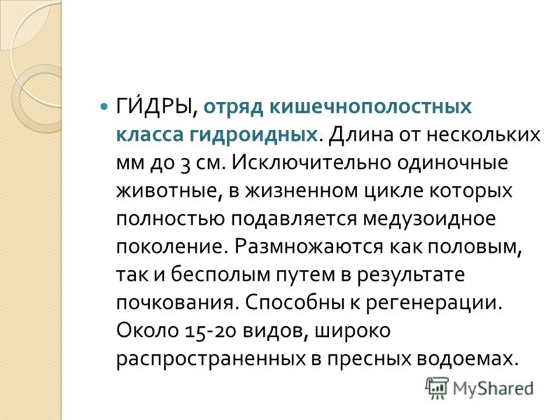 Ссылка на кракен тор